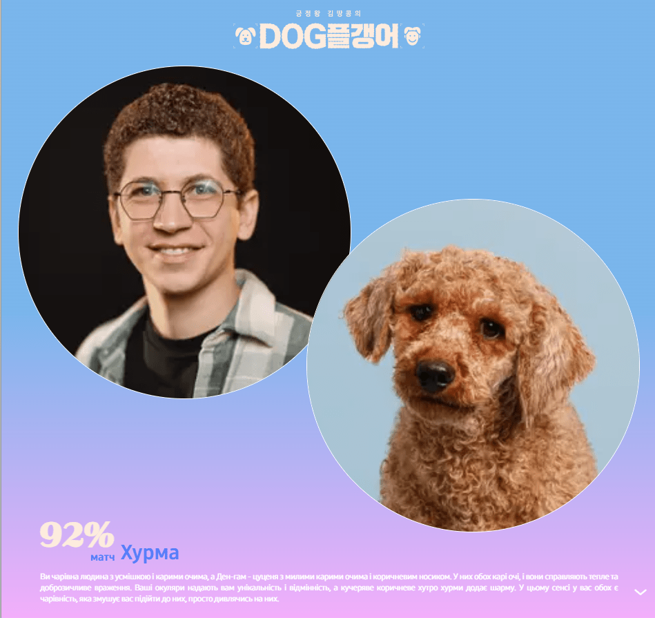 Південнокорейський сервіс My Dog Twin допомагає знайти свого собаку-близнюка