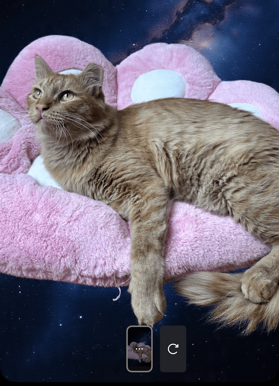 Інстаграм додає нові ШІ-інструменти редагування для сториз